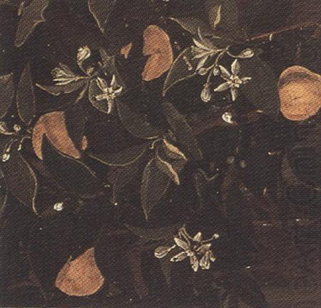 Details of Primavera (mk36), Sandro Botticelli